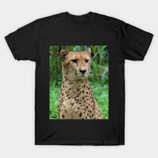 Cheetah 2 T-Shirt